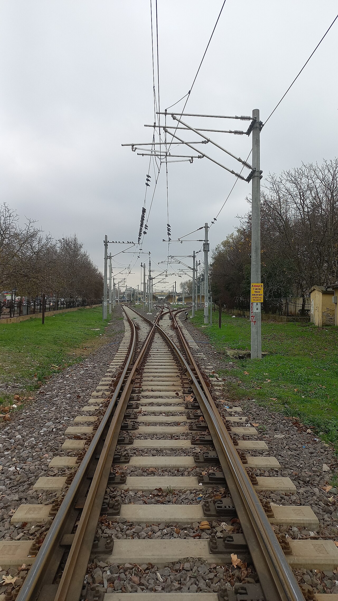 Adapazarı