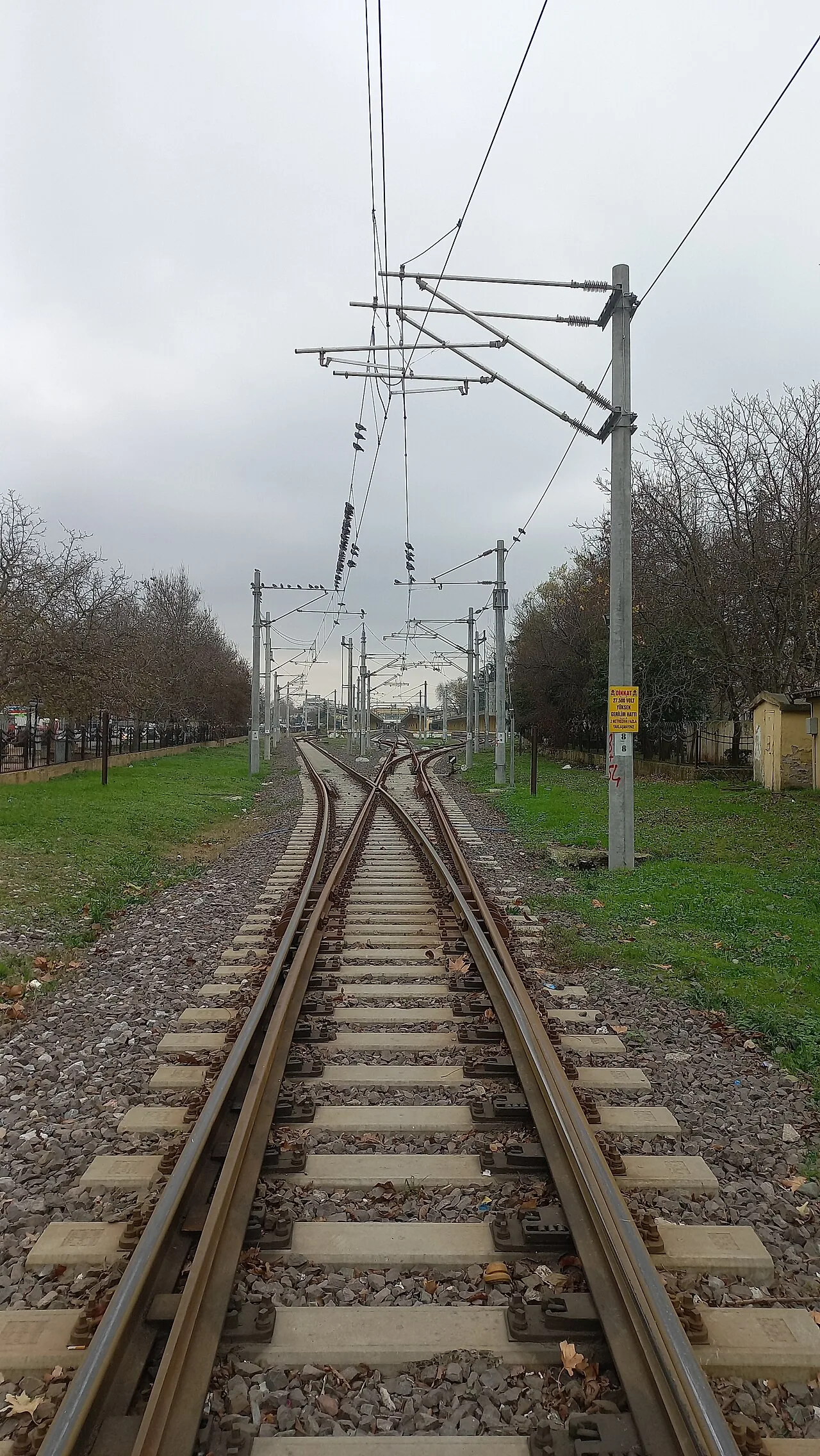 Adapazarı